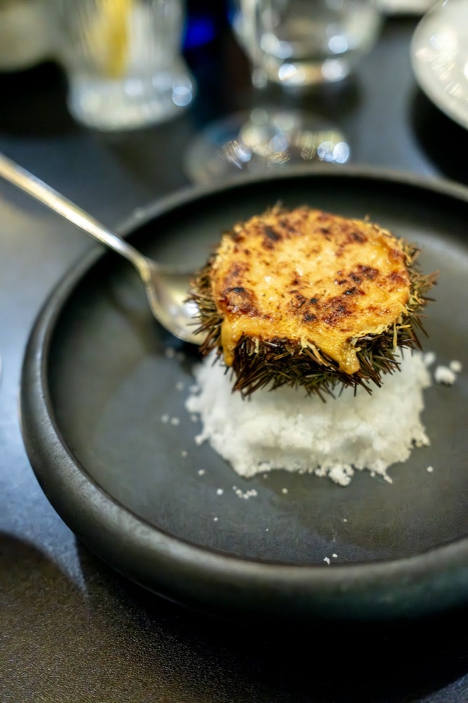 Santa Barbara uni egg